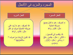 images (13)